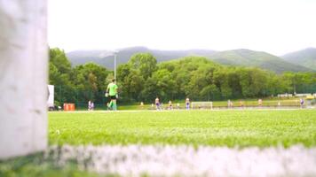 Kids Soccer Team Practicing on Blurred Football Field Empty Space for Text video