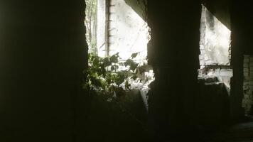 Sunlight streams through fractured walls of a deserted building. Illuminating its aged and worn interior. The light reveals haunting beauty, exposing echoes of past and traces of former structure video