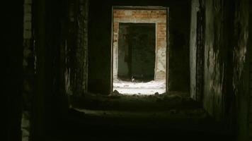 Faint light streaming through doorway at corridors end, illuminating decaying abandoned building interior with haunting sense of hope and potential escape from surrounding darkness and desolation. video