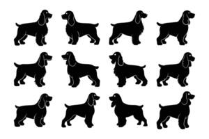 Cocker Spaniel Dog Silhouette Graphic Art Set Bundle Collection vector