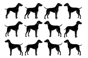 Simple German Shorthaired Pointer Dog Silhouette Graphic Art Set Bundle Collection vector
