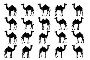 Camel Silhouette Graphic Art Set Bundle Collection vector