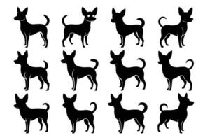 Chihuahua Dog Silhouette Graphic Art Set Bundle Collection vector
