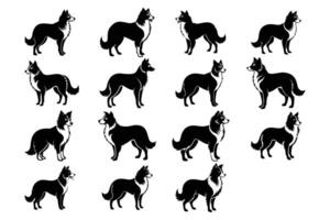 Border Collie Dog Silhouette Graphic Art Set Bundle Collection vector