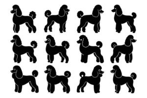 Poodle Dog Silhouette Graphic Art Set Bundle Collection vector