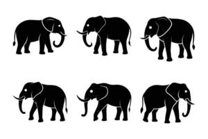 Elephant Silhouette Graphic Art Set Bundle Collection for Creative Projects vector