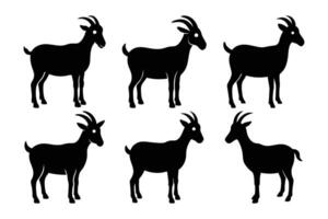 Goat Silhouette Graphic Art Set Bundle Collection for Creative Design vector