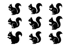 Simple Squirrel Silhouette Graphic Art Set Bundle Collection for Nature Lovers vector