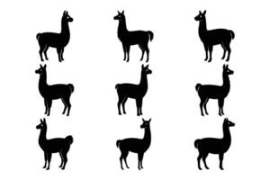 Llama Silhouette Graphic Art Set Bundle Collections for unique design projects vector
