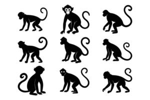 Simple Monkey Silhouette Graphic Art Set Bundle Collection for unique design vector