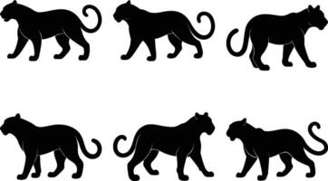 Panther Silhouette Graphic Art Set Bundle Collection for Digital Design vector