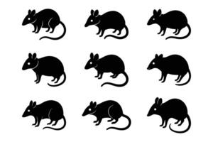Elephant Shrew Silhouette Graphic Art Set Bundle Collections for modern design vector