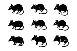 Elephant Shrew Silhouette Graphic Art Set Bundle Collection for design projects vector