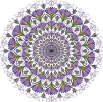 Intricate black and white mandala design with floral patterns and symmetrical details vector