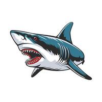 Aggressive illustration of a shark with open mouth vector