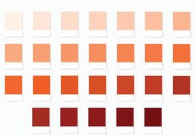 Color Palette 26 Peach Fuzz and Apricot Shades - 3d Pastel Faded to Rich Dark Autumn Tones - with HEX Codes and Names, Colour Swatches, Scheme and Combinations vector