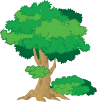 The third type of big tree png