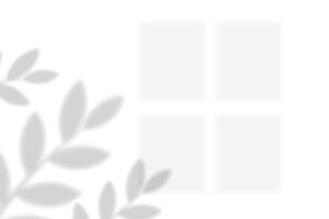 Realistic shadow of leaves on white wall background vector