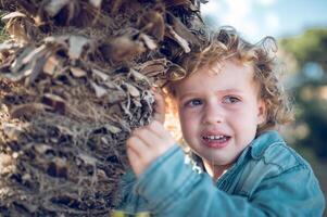 Crying boy near tree trunk photo