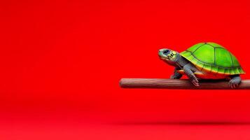 Green turtle is on a red background. The turtle is on a stick and he is looking at the camera photo