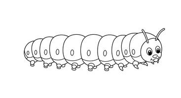 A caterpillar is shown in this coloring page vector