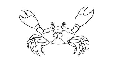 A crab coloring page with a black and white outline vector