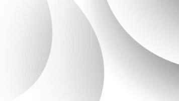 Abstract White Gradient Background with Smooth Curves and Subtle Lighting Effects vector
