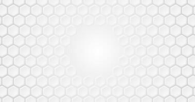 White Hexagon Background White Hexagon pattern illustration vector
