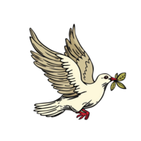 A white dove with a green leaf in its beak png