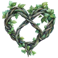 Creating Heart Shape from Vines and Leaves on Black Background png
