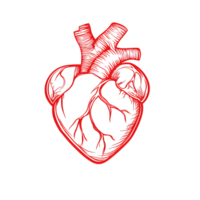Red Heart Drawing Isolated on Black Background - Medical and Health Concept png