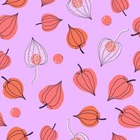 Pink seamless pattern with physalis fruits. graphics. vector