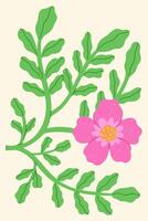 Postcard or poster with rose hip flower. graphics. vector
