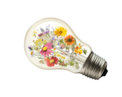 light bulb filled with colorful floral designs, showcasing nature beauty and creativity. This unique design combines functionality with artistic expression png
