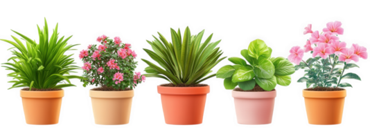 Five different types of plants in pots png
