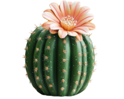 Cactus with pink flower isolated on transparency background, showcasing vibrant colors and unique texture, perfect for nature lovers and botanical enthusiasts png