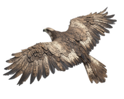 A bird flying in the air with its wings spread png