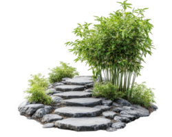 A stone path with a bamboo tree in the middle png