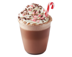 A hot chocolate with whipped cream and candy cane png