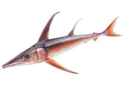 vibrant swordfish with long bill, showcasing its unique features against transparency background. This striking fish is known for its speed and agility in ocean png