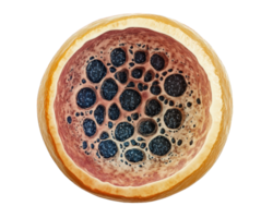 high magnification microscope image showing intricate structure of biological sample, revealing various cellular formations and textures. detailed view highlights complexity and beauty of png