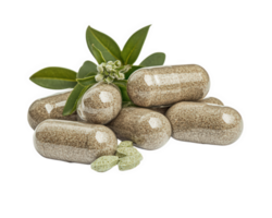 A pile of pills with leaves on top png