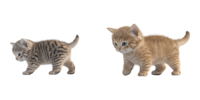 Realistic 3D Baby Cats in Different Artistic Styles for Cute and Animal-Themed Designs on Transparent Background png