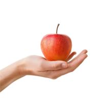 A single red apple gently held in a person's hand a healthy and delicious fruit png