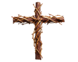A wooden cross with branches on it png