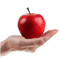 A Single Red Apple Held Gently in a Person's Hand Against a White Background png