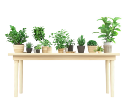 A table with potted plants on it png