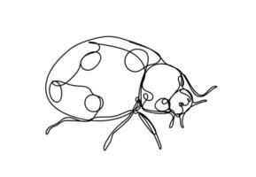 ladybug line art, line drawing style, illustration vector