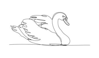 Mute swan, continuous one line drawing vector