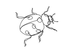 ladybug line art, line drawing style, vector